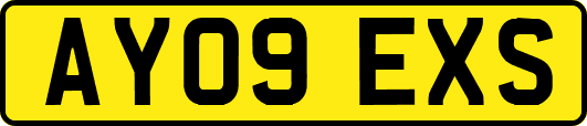 AY09EXS