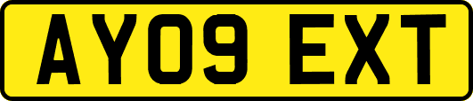 AY09EXT