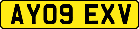 AY09EXV