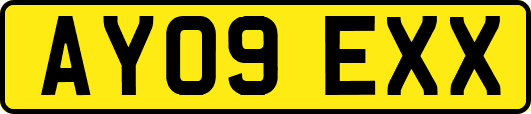 AY09EXX