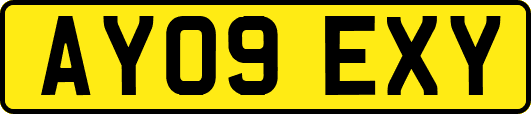 AY09EXY