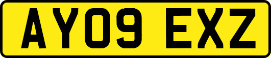 AY09EXZ