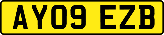 AY09EZB