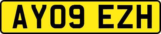 AY09EZH