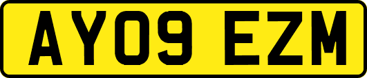 AY09EZM