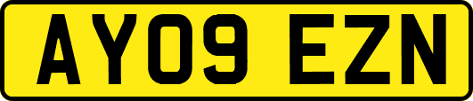 AY09EZN
