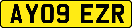 AY09EZR