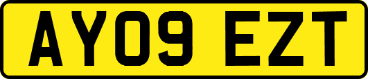 AY09EZT