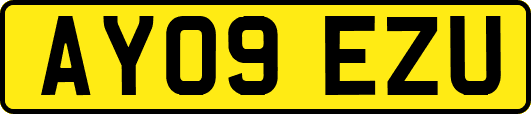 AY09EZU