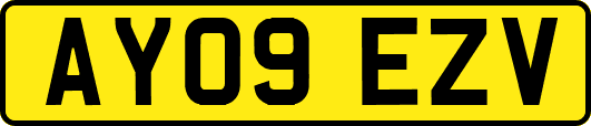 AY09EZV