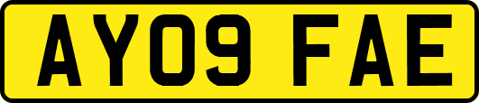AY09FAE