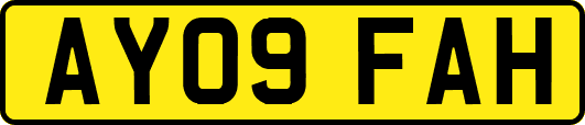 AY09FAH