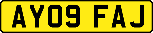 AY09FAJ