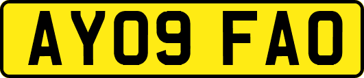 AY09FAO