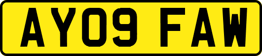 AY09FAW