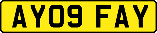 AY09FAY