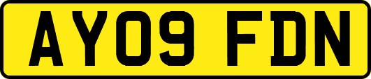 AY09FDN