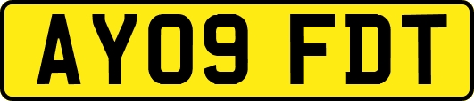 AY09FDT
