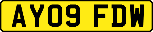 AY09FDW