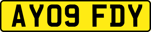 AY09FDY