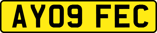 AY09FEC