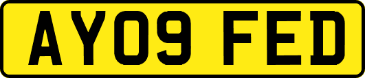 AY09FED