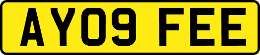 AY09FEE