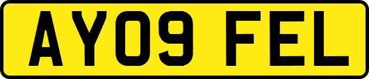 AY09FEL