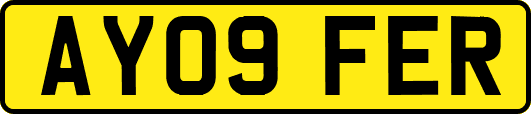 AY09FER