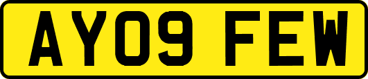 AY09FEW
