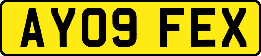 AY09FEX