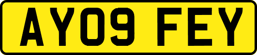 AY09FEY