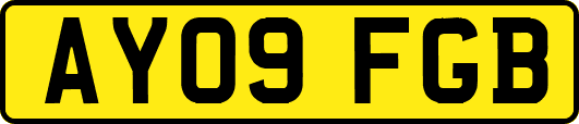 AY09FGB
