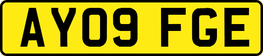 AY09FGE