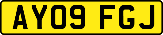 AY09FGJ