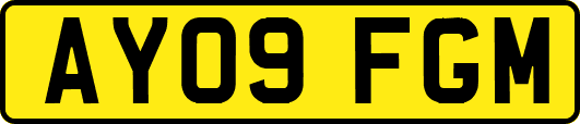 AY09FGM