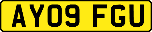 AY09FGU