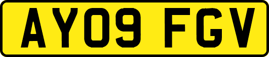 AY09FGV