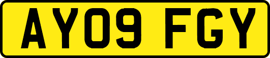 AY09FGY