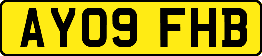 AY09FHB