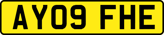AY09FHE