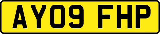 AY09FHP