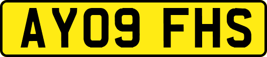 AY09FHS
