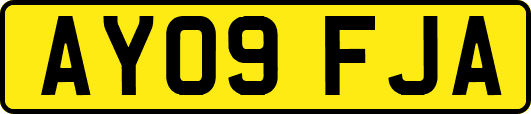 AY09FJA
