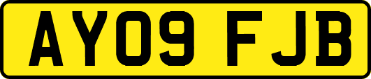 AY09FJB