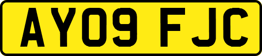 AY09FJC