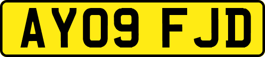 AY09FJD