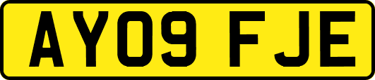 AY09FJE