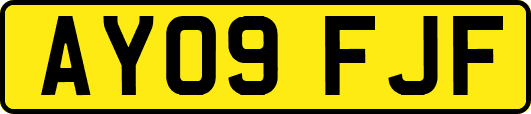 AY09FJF