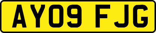 AY09FJG